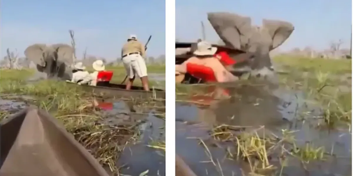 A cena do ataque, que foi filmada e rapidamente viralizou, levantou críticas sobre a segurança e o erro de cálculo dos guias locais.