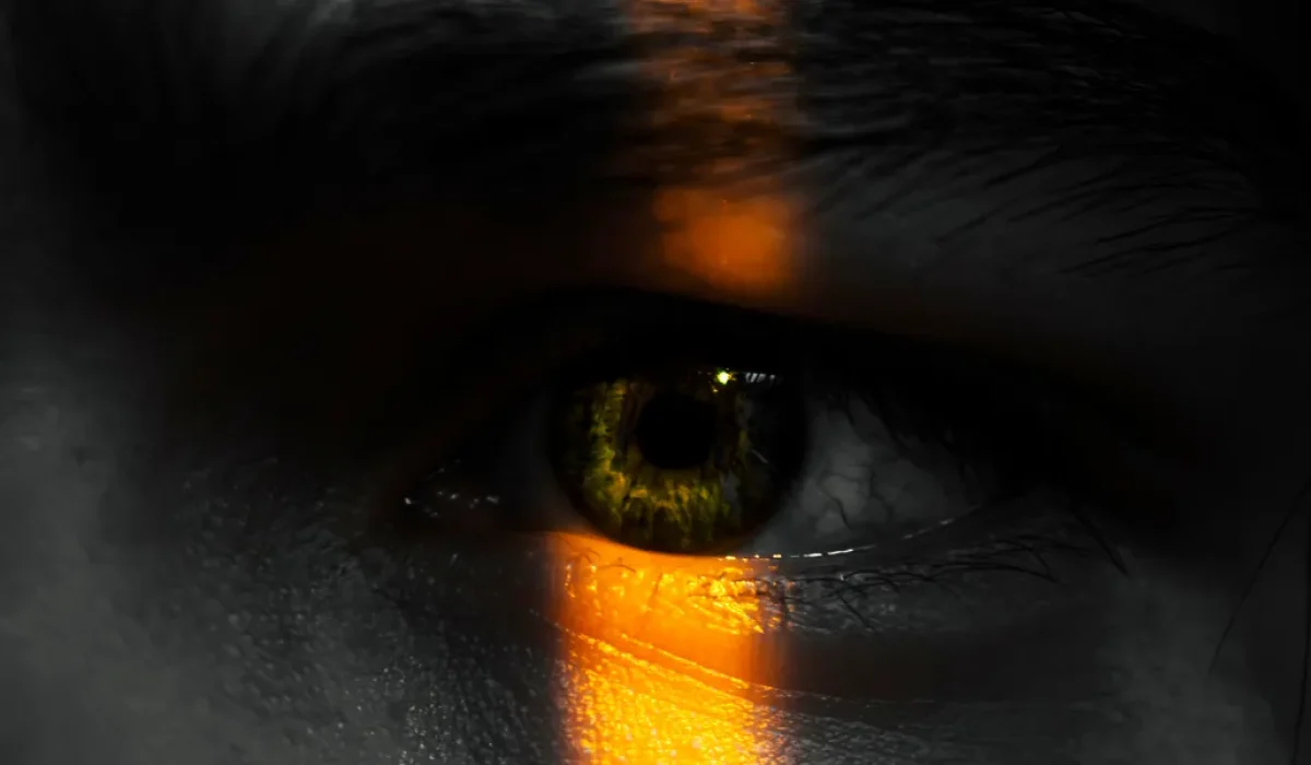 O futuro da humanidade