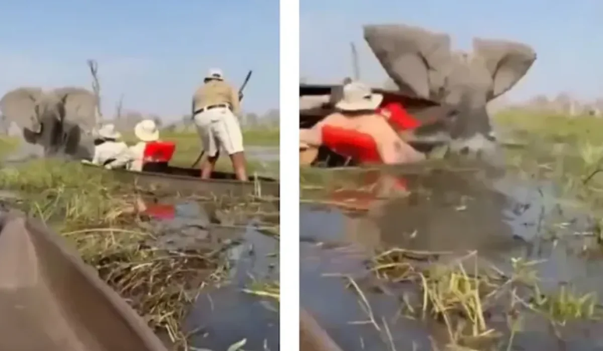 A cena do ataque, que foi filmada e rapidamente viralizou, levantou críticas sobre a segurança e o erro de cálculo dos guias locais.